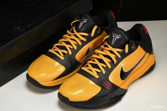 Nike Lee  Bruce 5 CD4991-700 Protro Kobe 0227